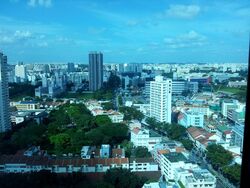 City Square Residences (D8), Condominium #375927301